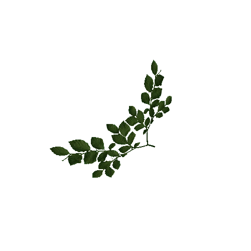 Aspen Leaves Green (Mesh)